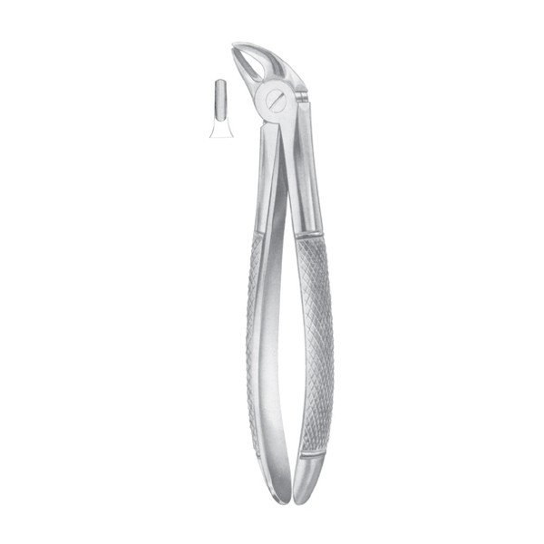 EXTRACTING FORCEPS ' ENGLISH PATTERN'