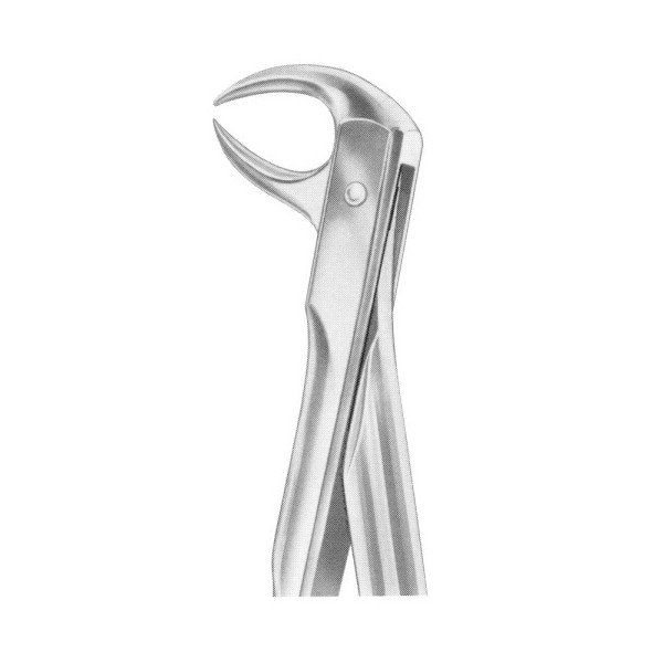 EXTRACTING FORCEPS 'WITH FITTING HANDLE'