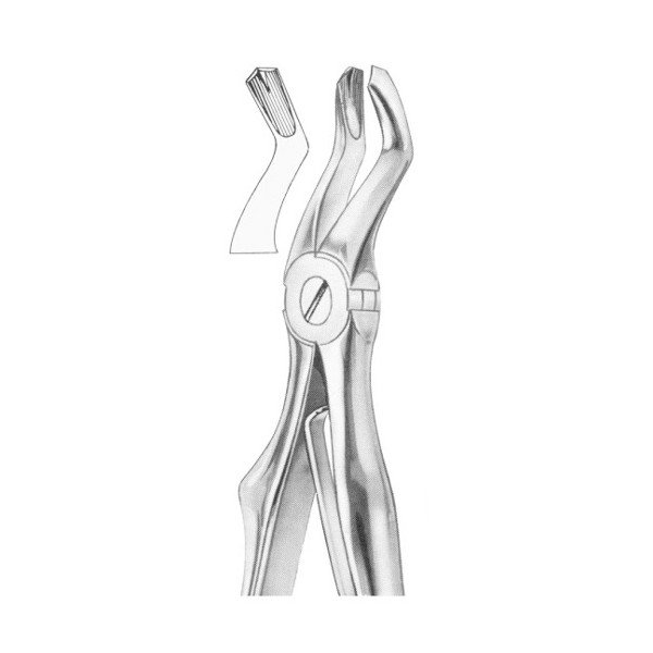 EXTRACTING FORCEPS 'FOR CHILDREN'