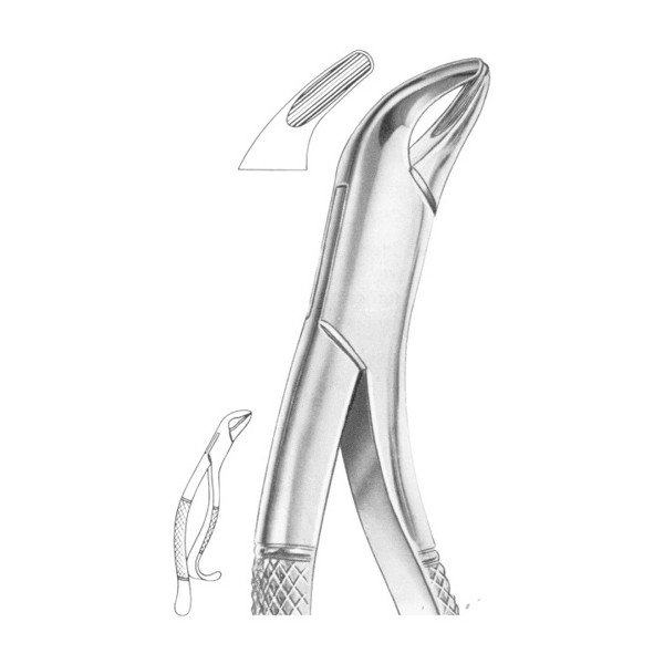 EXTRACTING FORCEPS 'AMERICAN PATTERN'