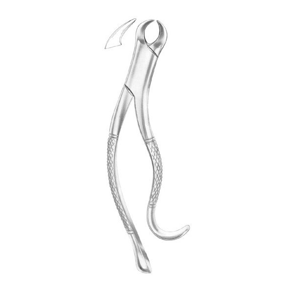 EXTRACTING FORCEPS 'AMERICAN PATTERN'