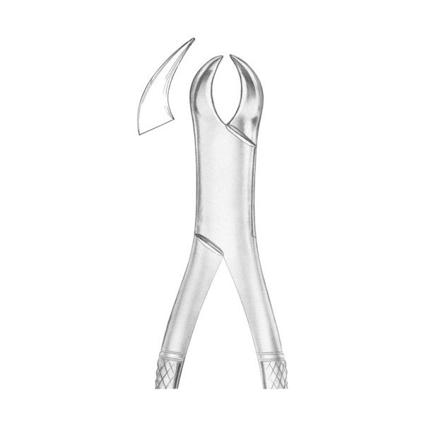 EXTRACTING FORCEPS 'AMERICAN PATTERN'