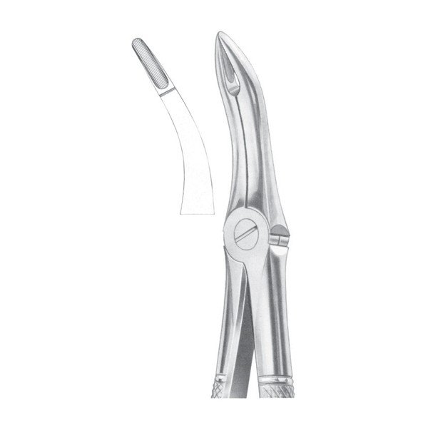 EXTRACTING FORCEPS 'ENGLISH PATTERN'