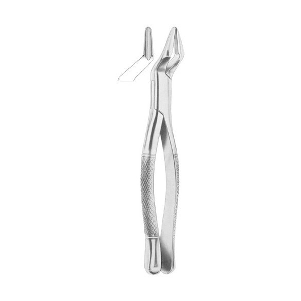 EXTRACTING FORCEPS ' ENGLISH PATTERN'