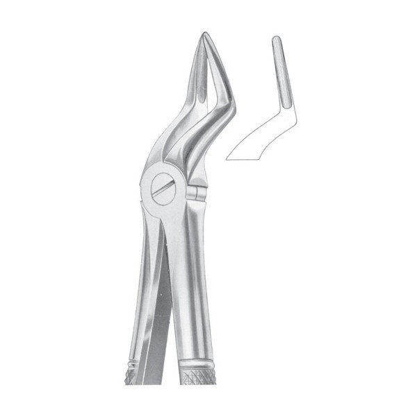 EXTRACTING FORCEPS 'ENGLISH PATTERN'