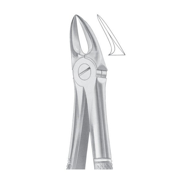 EXTRACTING FORCEPS 'ENGLISH PATTERN'