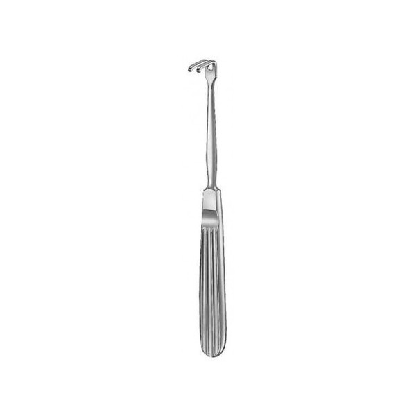  Oral Instruments