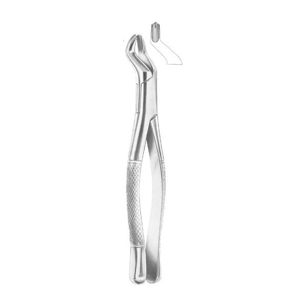 EXTRACTING FORCEPS 'AMERICAN PATTERN'