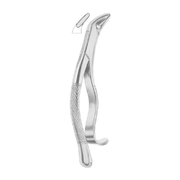 EXTRACTING FORCEPS 'AMERICAN PATTERN'