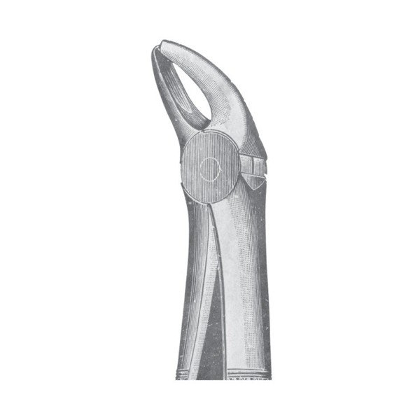 EXTRACTING FORCEPS 