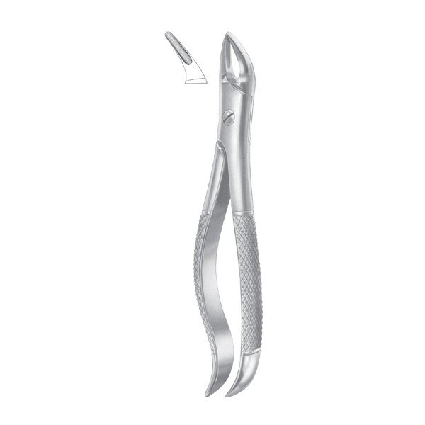 EXTRACTING FORCEPS 'ENGLISH PATTERN'