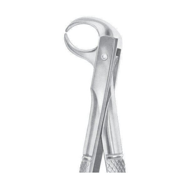 EXTRACTING FORCEPS 'ENGLISH PATTERN'