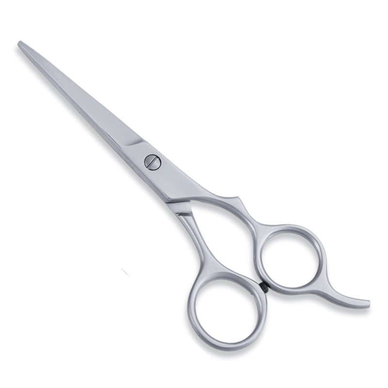 Economy Hair Scissor