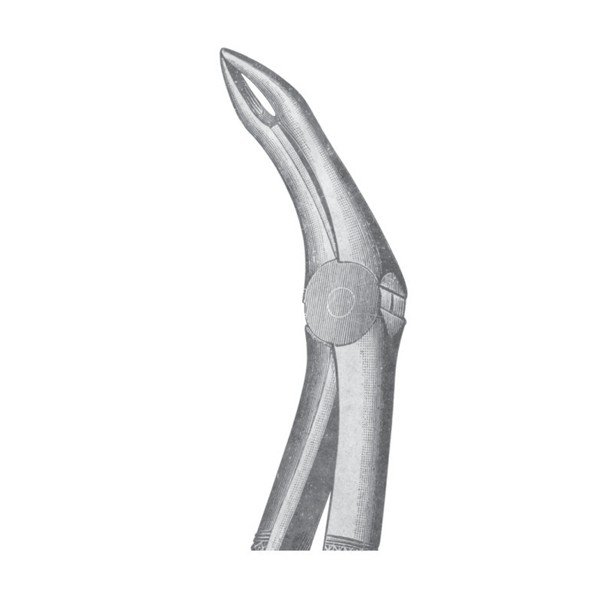 EXTRACTING FORCEPS 