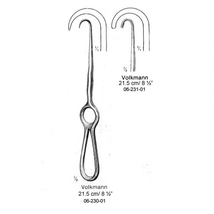 Volkmann, 21.5 cm