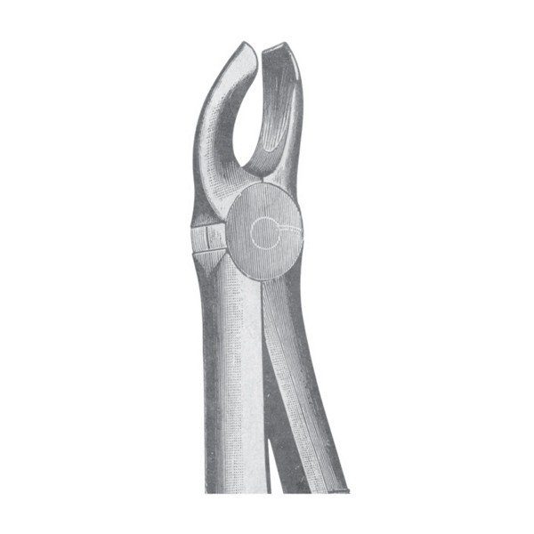 EXTRACTING FORCEPS 