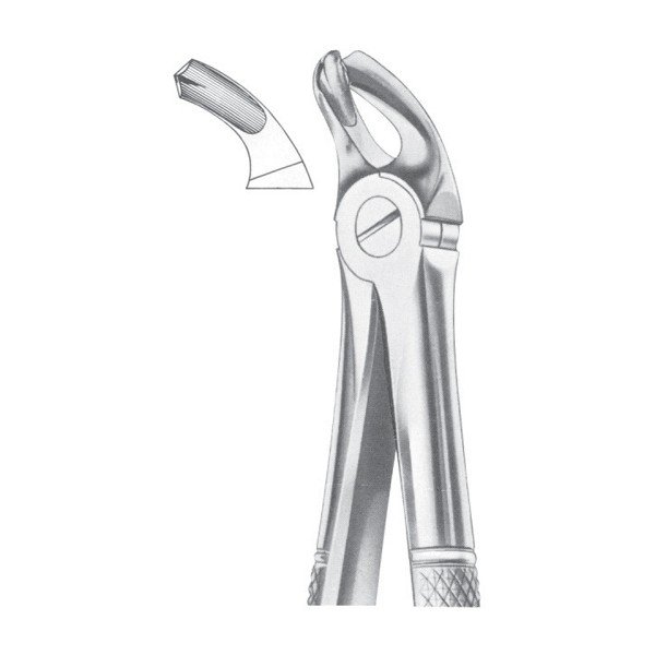 EXTRACTING FORCEPS ' ENGLISH PATTERN'