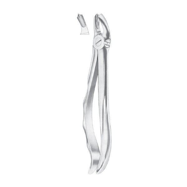 EXTRACTING FORCEPS 