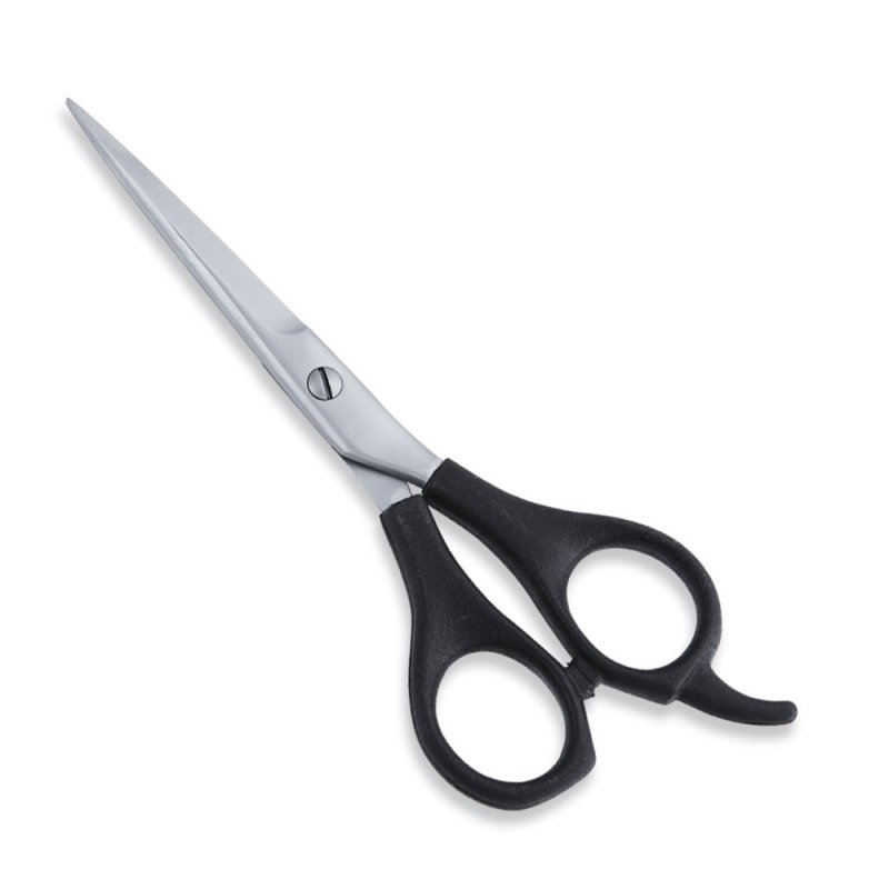 Economy Hair Scissor