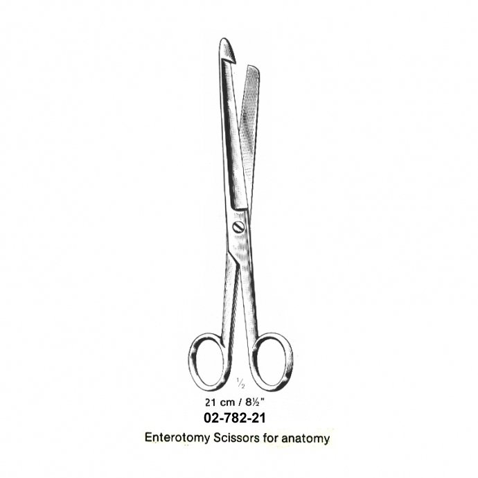 Enterotomy Scissors for anatomy - 21 cm 