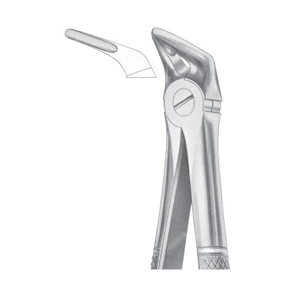 EXTRACTING FORCEPS ' ENGLISH PATTERN'