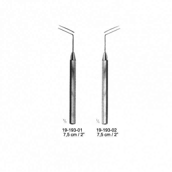 Trabecular Probes