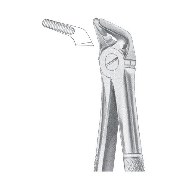 Extracting Forceps